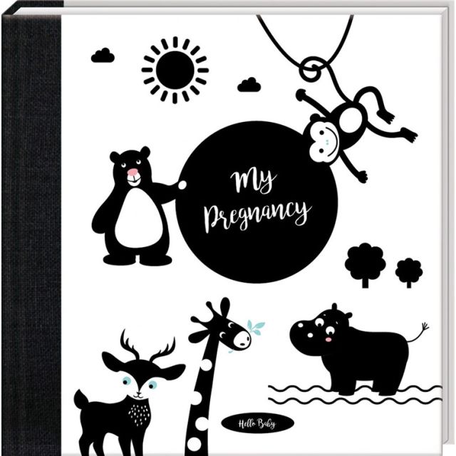 My Pregnancy Journal
