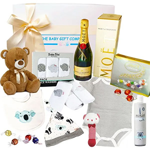  Celebrate with the ultimate baby gift basket